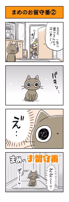 うちのネコは飼い主に優しい。「まめのお留守番②」③に続きます。#猫漫画 #黒猫 #猫 #ネコ #保護猫 #うちのネコは飼い主に優しい 