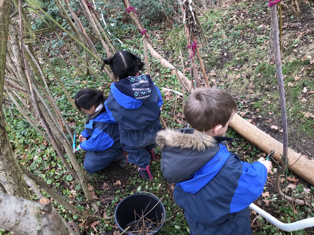 Action Action Action.... YES!
Prep discussed .... what is Action?
We looked around in the garden and found many things to do and changed it to the better ...<a href="/isdedu/">International School of Düsseldorf</a> <a href="/OLEISD/">ISD Outdoor Learning</a>