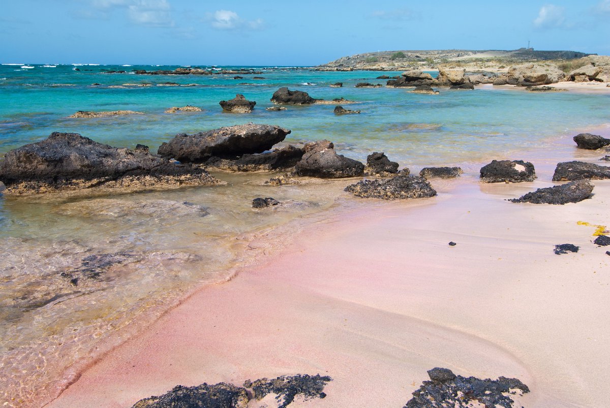 carrotsun's tweet photo. SUMMER HOLIDAY IDEA!
•
CRETE - GREECE
•
A must see is this beautiful beach! Elafonisi beach 😍😍 white and pink sand making it one of the nicest beaches in Crete 💖 i’d definitely take some carrot sun with me for this holiday
#carrotsun #crete #greece #tanning #tan #glowingtan https://t.co/a0eUFybFFN