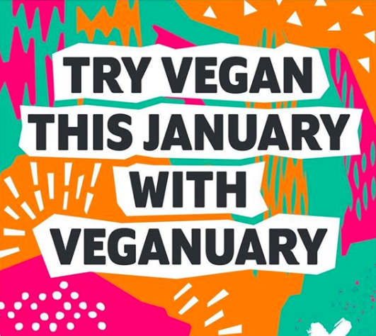 We're supporting #Veganuary at <a href="/BreadandHoneyUK/">Bread & Honey Catering</a> - check out our brand new vegan menus online now: bit.ly/2ZWo7Ex