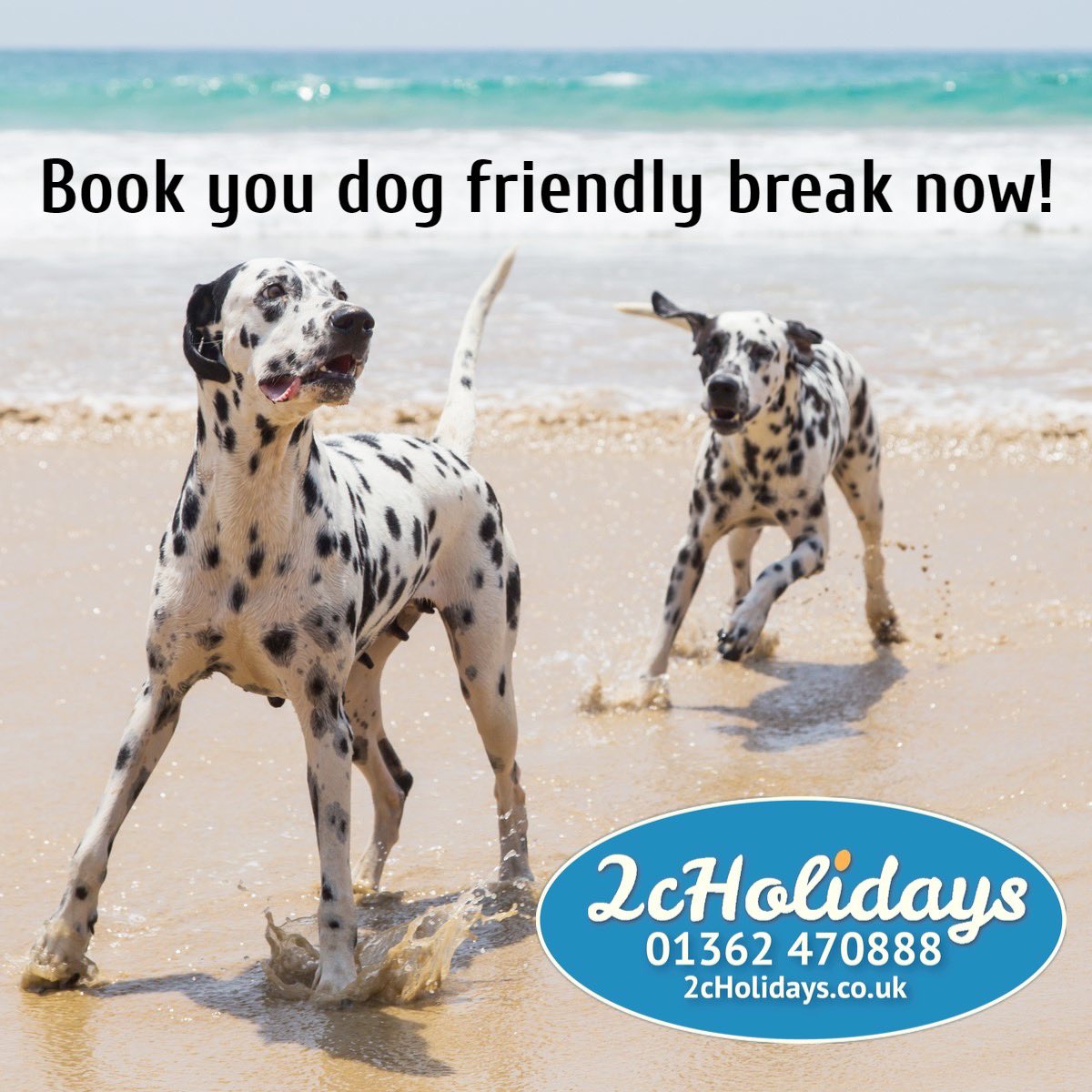 🔷🔹🔹Dog friendly Breaks. Book you #ukbreaks with a #lowdeposit over 200 #holidayhomes #fordogs #dalmation #dogfriendlybreaks #petfriendlyholidays #petfriendlystay #dogfriendlyuk #dogfriendlybeaches #norfolkholidays #suffolkholidays #essexholidays #lincolnshireholidays