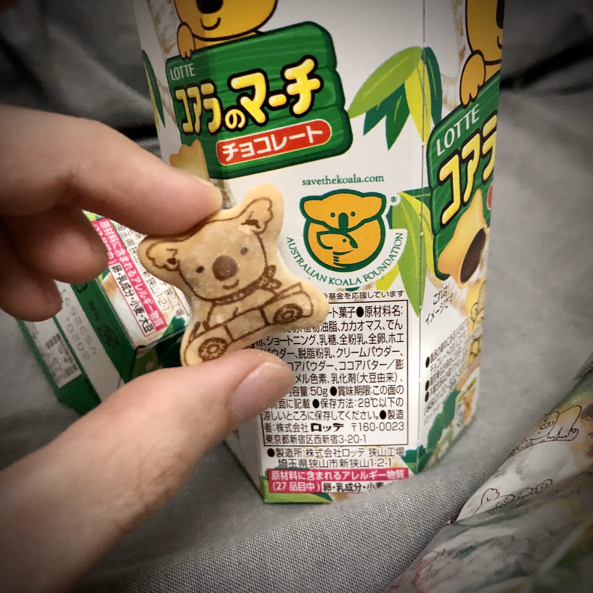 コアラのマーチで募金ができる 森林火災で被害の広がるオーストラリアを応援しよう 話題の画像プラス コアラのマーチで募金ができる 森林火災で被害の広がるオーストラリアを応援しよう 話題の画像プラス