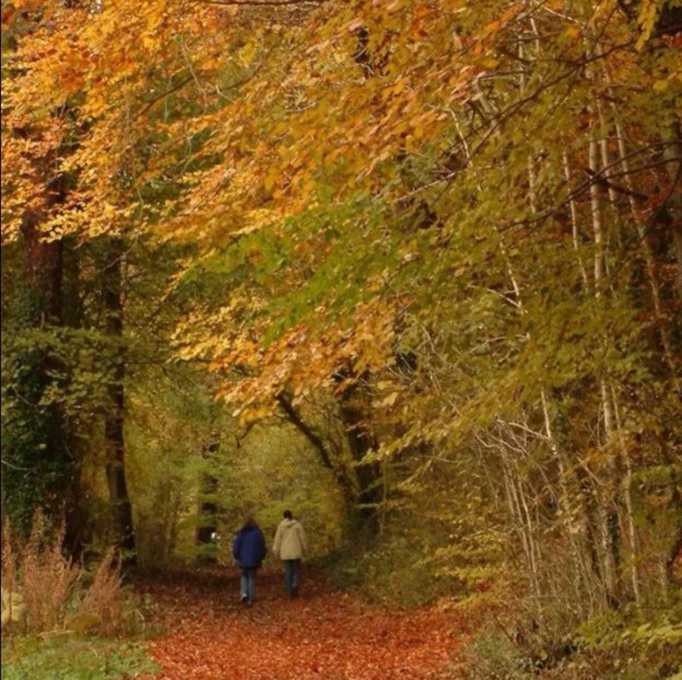 The Clwydian Range is a great place to be active in the fresh air amidst beautiful scenery, you’ll experience the special qualities of this area in magnificent, safe, accessible surroundings. ❤️

#Hopemountain #northwalesbandb  #Hopemountainbandb #northwales
