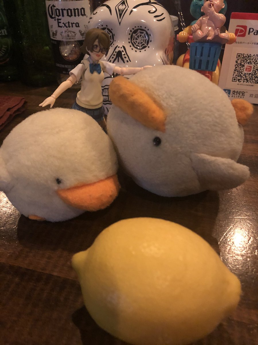 mahopiyo's tweet photo. まほぴよ工房の無農薬ゆず、入荷しました！
#bar #megane #まほぴよ【 #岡崎市 】#康生通 #ノンアルでも大丈夫 #今日は飲まない https://t.co/e7pQcqQ6FP