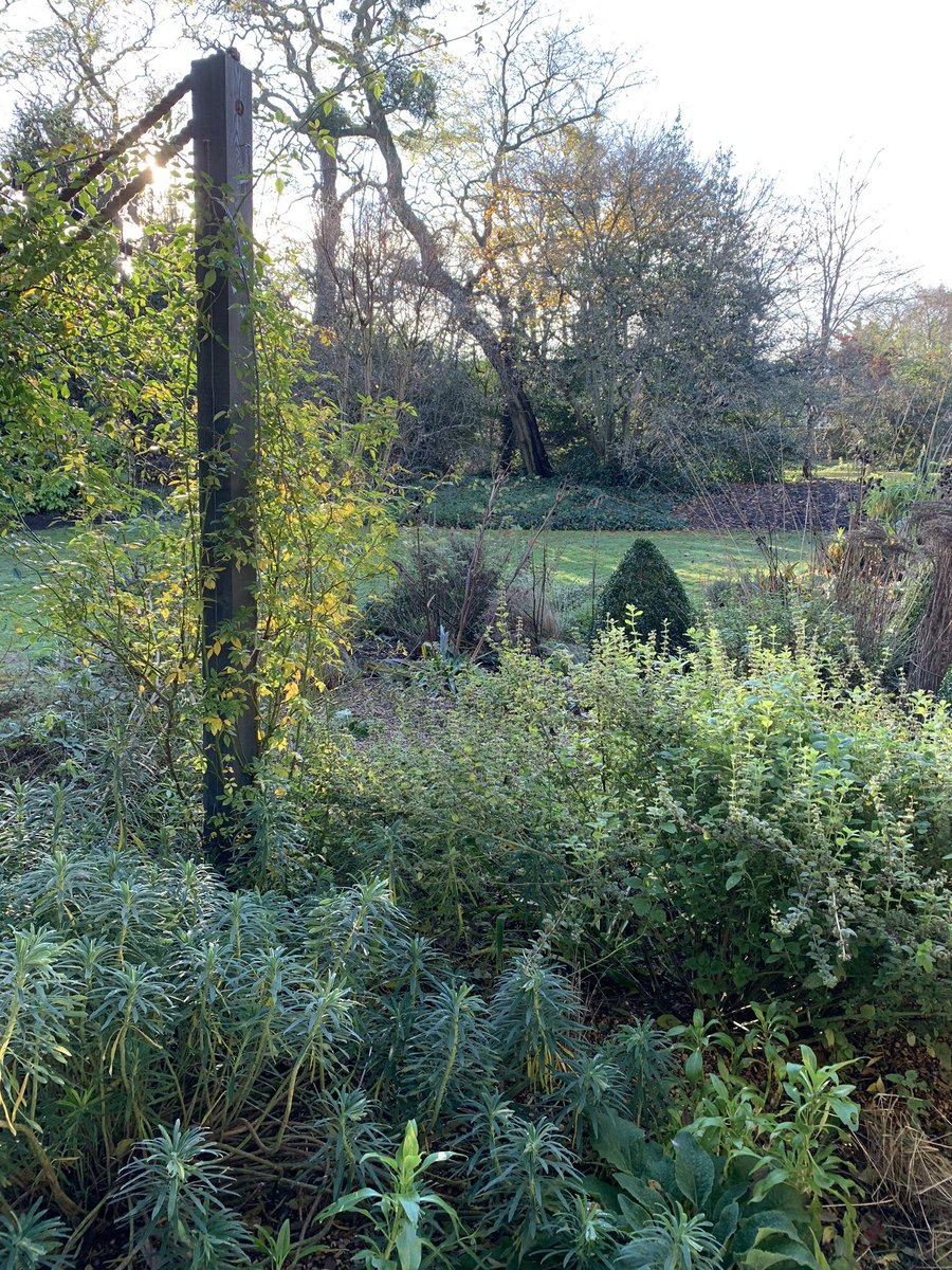 Have you thought of trying something new for the new year? How about designing your own garden? Head over to our website for more information on our ‘Introduction To Garden Design’ course that we are running at the end of January!