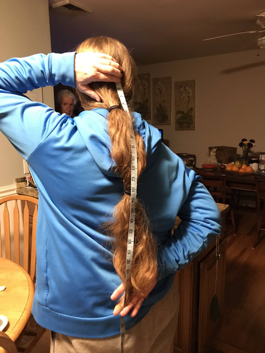 Walks with Buddy tweet media