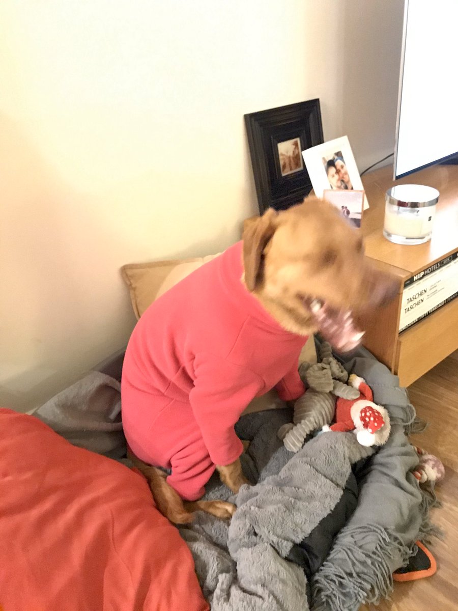 Mark Byrne tweet media