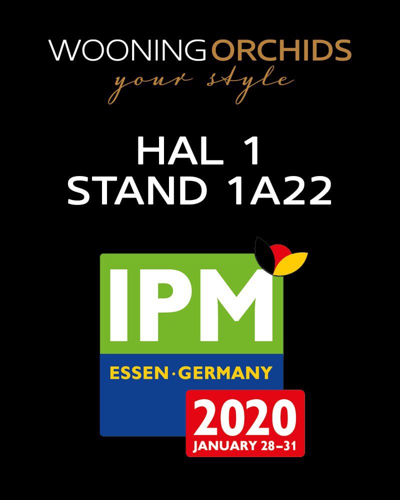 WooningOrchids's tweet photo. At the end of this month we can be found again at the IPM in Essen. View our concepts (including Bamboo Orchid &amp; Phalaenature) in booth 1A22, hall 1. We look forward to seeing you in Essen! https://t.co/4IuSDtPwQd