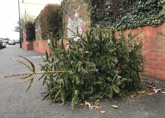 wandbc's tweet photo. We're reminding people with front gardens to leave their Xmas trees there and we'll collect them free of charge. People who dump them on pavements cause difficulties for people in wheelchairs, children in buggies and those who are blind/partially sighted. Please think of others! https://t.co/luNdp8vEIG