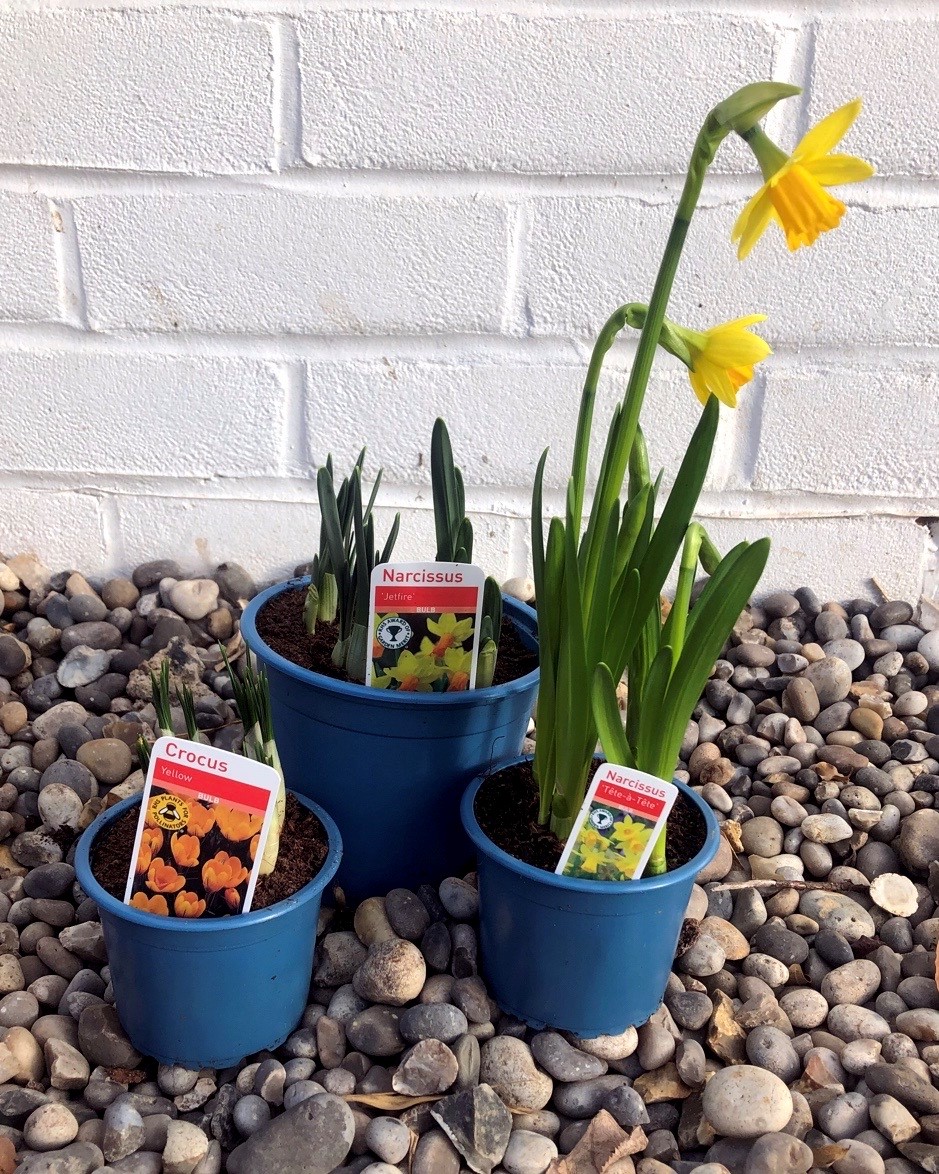 EvergreenExt's tweet image. Please take a look at our blog on our website to see how Evergreen will be expanding the use of recyclable pots in 2020. evergreenext.co.uk. #recyclable #plantpots  #plants #evergreenexteriorservices