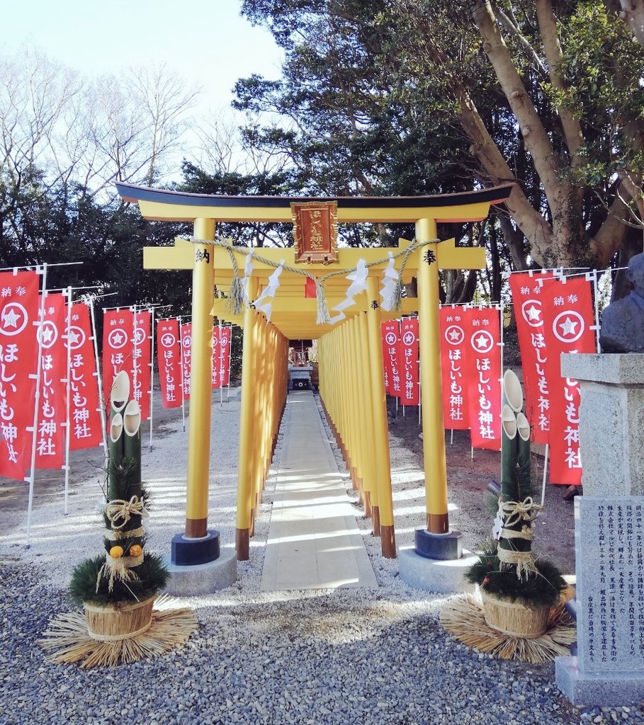 なんと、茨城にはほしいも神社なるものが。ほしいもも売ってて、今わたしのおやつです。