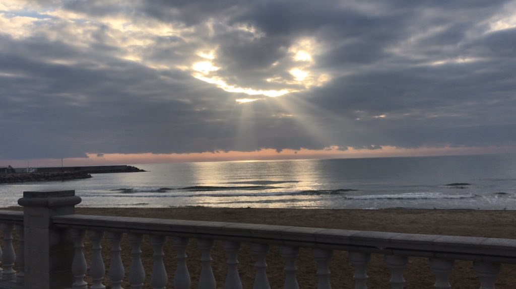 ildacikk's tweet image. 