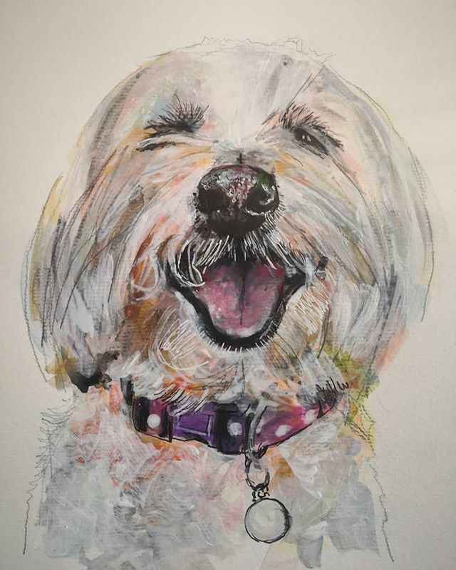 paper_hounds's tweet photo. 🍏 #paperhounds #paperhoundstweet #artistinMuscat #dogartist #dogportraitartist #petportraitartist #petpainting #petsofinstagram #petportrait #dogportraits #dog #dogsofinstagram #whitedogsofinsta https://t.co/Girs0rVcXT