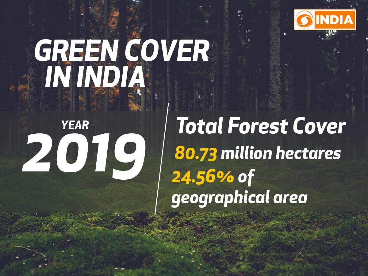 DDIndialive's tweet image. Total Forest and Tree Cover has rose to 24.56% of the total geographical area of the country. 
#IndiaStateofForestReport #ISFR #isfr2019