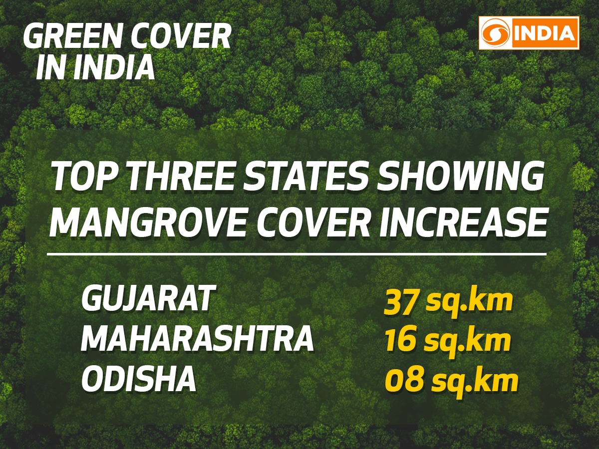 DDIndialive's tweet image. Total Forest and Tree Cover has rose to 24.56% of the total geographical area of the country. 
#IndiaStateofForestReport #ISFR #isfr2019