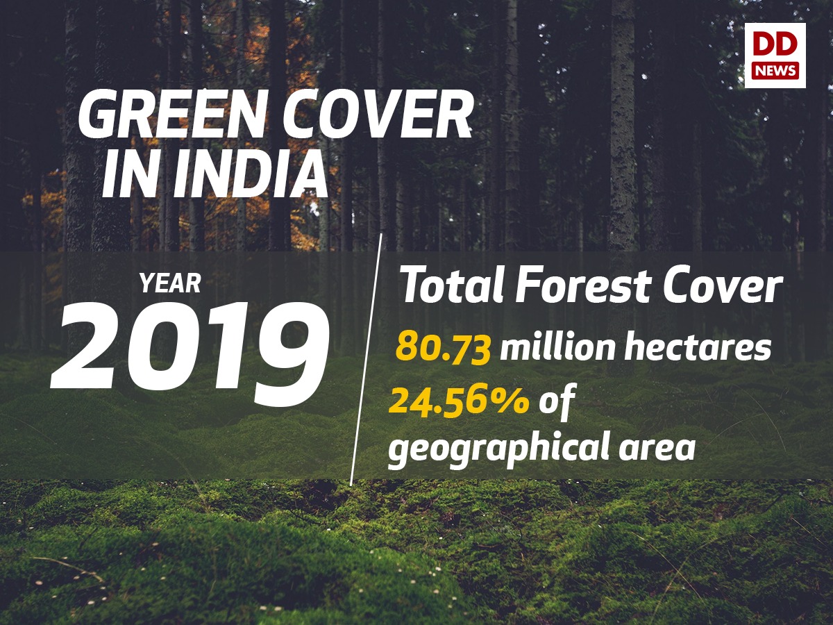 DDNewslive's tweet image. Total Forest and Tree Cover has rose to 24.56% of the total geographical area of the country. 
#IndiaStateofForestReport #ISFR #isfr2019