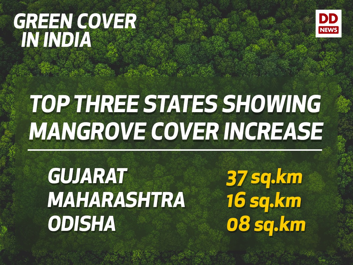 DDNewslive's tweet image. Total Forest and Tree Cover has rose to 24.56% of the total geographical area of the country. 
#IndiaStateofForestReport #ISFR #isfr2019