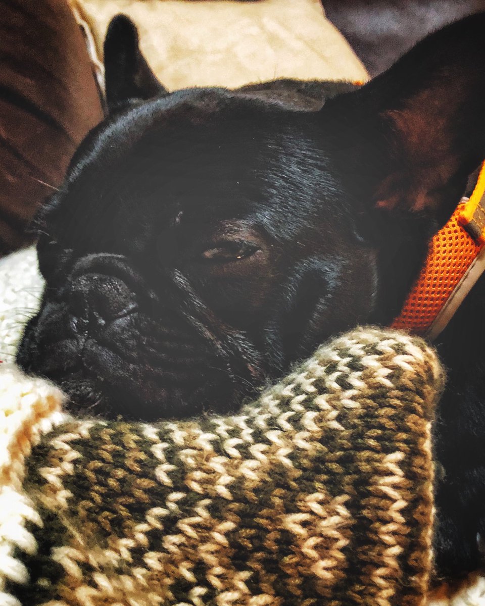 “[H]ow fabulous to have an animal in the house, with their mysterious thoughts, adventures, and perception-who also gazes your way, smiles at you, and listens to your recap of your day unwaveringly.”

-<a href="/DogUmwelt/">Alexandra Horowitz</a>, ‘Our Dogs, Ourselves’ #puppy #puppylove #frenchies