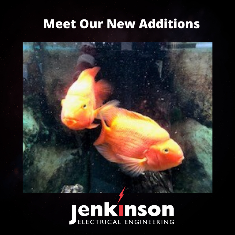 JenkinsonElec's tweet photo. #doncaster #electrical https://t.co/PWTWlyDACC