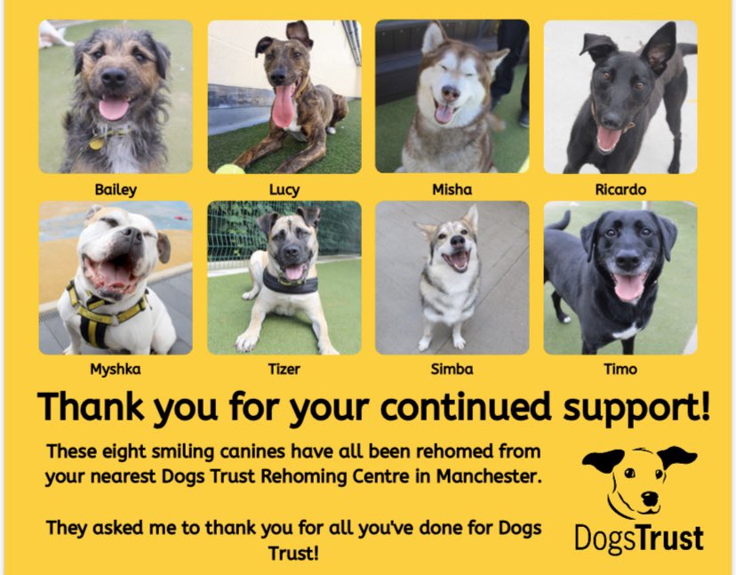 dogs trust closest to me