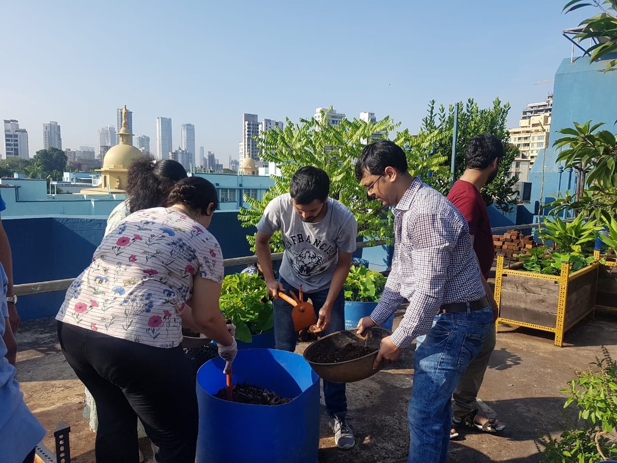 EdelGive's tweet photo. 5 #volunteers from @EdelweissFin spent a sunny Sunday morning on an organic farm where they set the bricks, added mulch and compost to the soil bed, and prepared a trellis for plant growth. #EdelEngage #CSR #Philanthropy #organicfarming https://t.co/O90jdehtDM