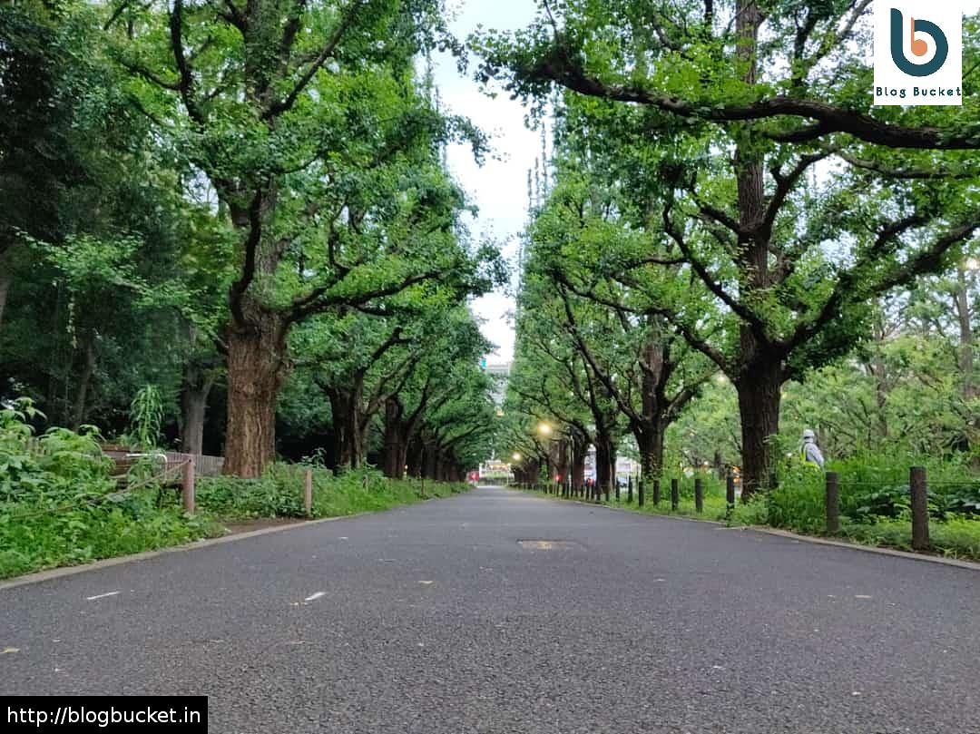 bloggingbucket's tweet photo. Nature is the art of God.
https://t.co/E3V3oUmChE
#blogbucket #nature #photography #naturephotography #travel https://t.co/Eef4jrmF82