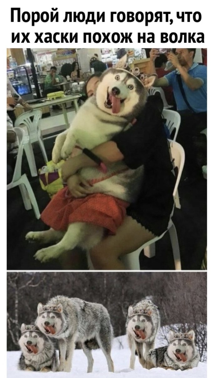 ENrjkvjWoAEeii9?format=jpg&name=large