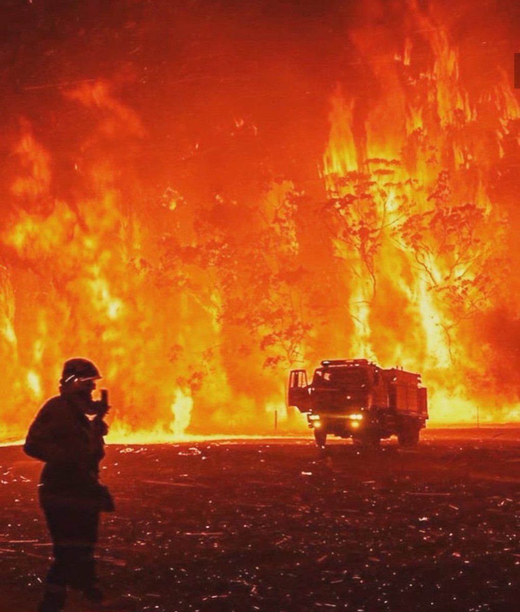 isceind's tweet photo. Pray for Australian animals millions of animals are dying #australiafire #AustraliaisBurning #AustralianBushfiresDisaster #AustraliaBurning #environment #AustraliaisBurning https://t.co/xRfEiH5kbf