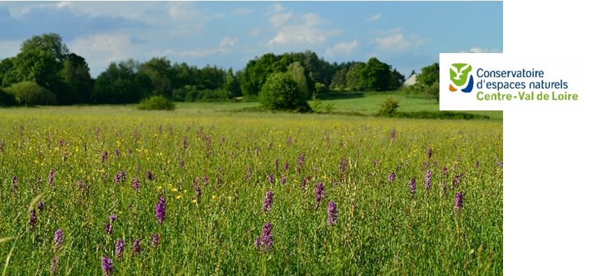 Agromousquetair's tweet photo. #ProductionResponsable : notre filière boisson s'engage pour la préservation des paysages et de la #biodiversité. #ProducteurResponsable #MieuxProduire https://t.co/IJyd1tpCcO