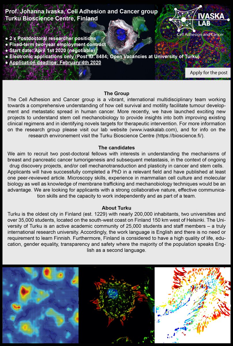 Happy New Year! We are looking for two postdocs to join the lab! Apply at utu.fi/en/university/… Post ID: 8484