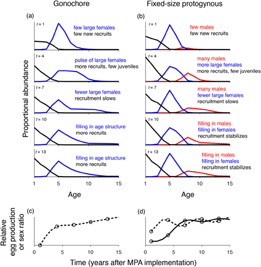 ESAApplications's tweet photo. #New in @ESAApplications with #OpenData from @ZENODO_ORG
Influence of #protogynous sex change on recovery of #fish populations within #marine protected areas
@j_wilson_white #NSFfunded @NSF @NSF_GEO @osu_fw @OSUAgSci @CSUNBIO @MLMLmarinesci
https://t.co/VPNSKWJwTv https://t.co/d4SLktkQFz