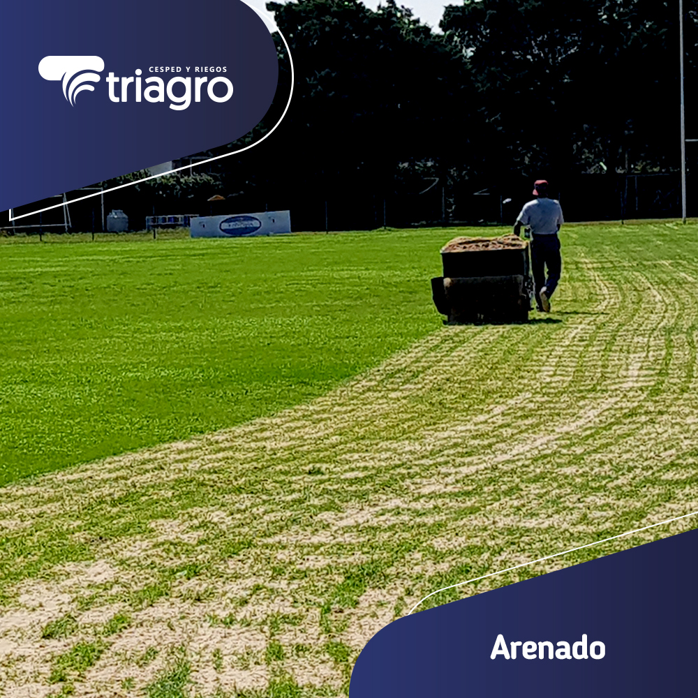 triagro_'s tweet photo. El #Arenado consiste en agregar una fina capa de arena en la superficie a tratar para mejorar las pequeñas variaciones del terreno. Se introduce dentro de los orificios producidos por la aireadora mejorando la infiltración y ayudando a que el suelo no se compacte. https://t.co/vClnzRego2