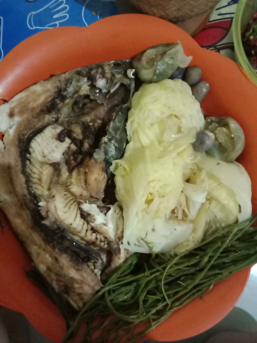 swing_ll's tweet photo. กินข้าวแลงกับหยังน้อพี่น้อง มาจ้า ปลาค่อใหญ่ https://t.co/ooyHYfhCyB