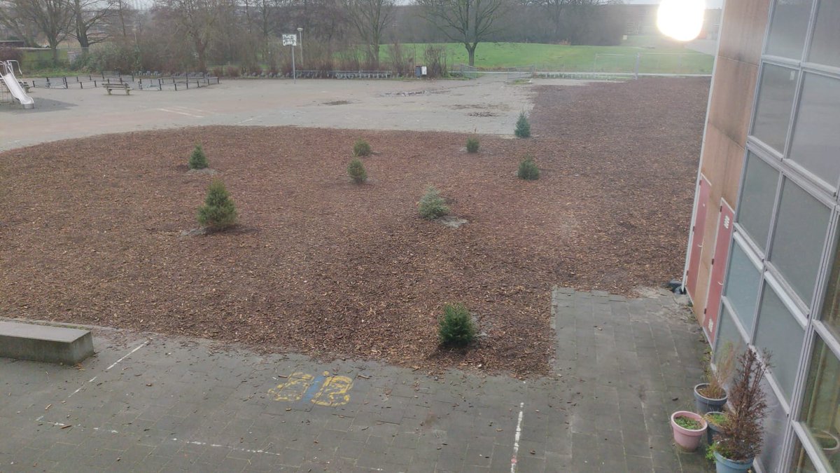 <a href="/GemeenteUtrecht/">Gemeente Utrecht</a>  als u nog kerstbomen met kluit vindt, breng ze dan naar <a href="/obspantarijn/">OBS Pantarijn</a> . Die geven de kerstbomen een tweede leven 

<a href="/VARnws/">VAR NWS</a> <a href="/regleidscherijn/">Regio Leidsche Rijn</a> <a href="/DeBrugUtrecht/">De Brug Utrecht</a> @wijkbureauVDM