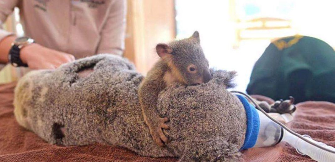 😟😢😭😭Poor .. too much to describe in pictures 👇