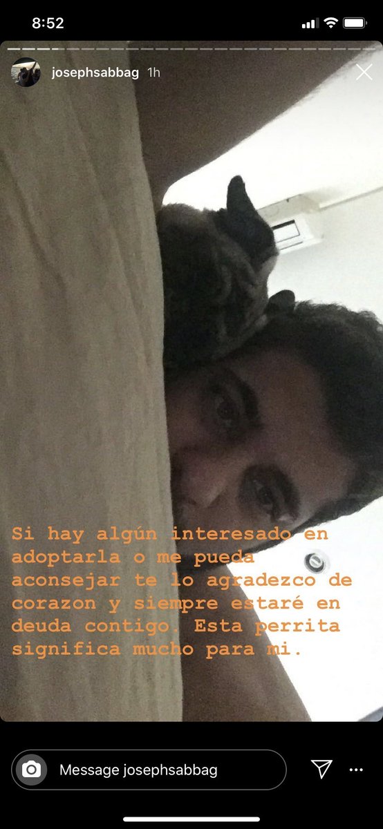 misssun_'s tweet photo. No me puedo imaginar lo duro que debe ser dar en adopción a quien ha sido tu amigo por 5 años. Ayúdame a buscar un hogar responsable y lleno de amor para Cuba. https://t.co/vKGNY1QnzU
