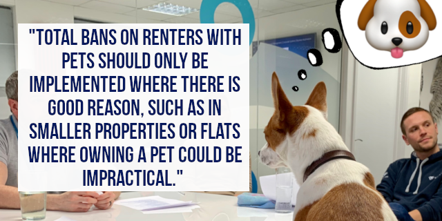 VTUK's tweet photo. Agree? #LetsWithPets #Tenancy #Lettings #QuestionTribe https://t.co/JP8NUbCF32
@PeterBallandCo @petsholidaylets @intuslettings @WeAcceptPets @ShuttleworthBex @SthWstPetLets https://t.co/QEpmCz6IvI