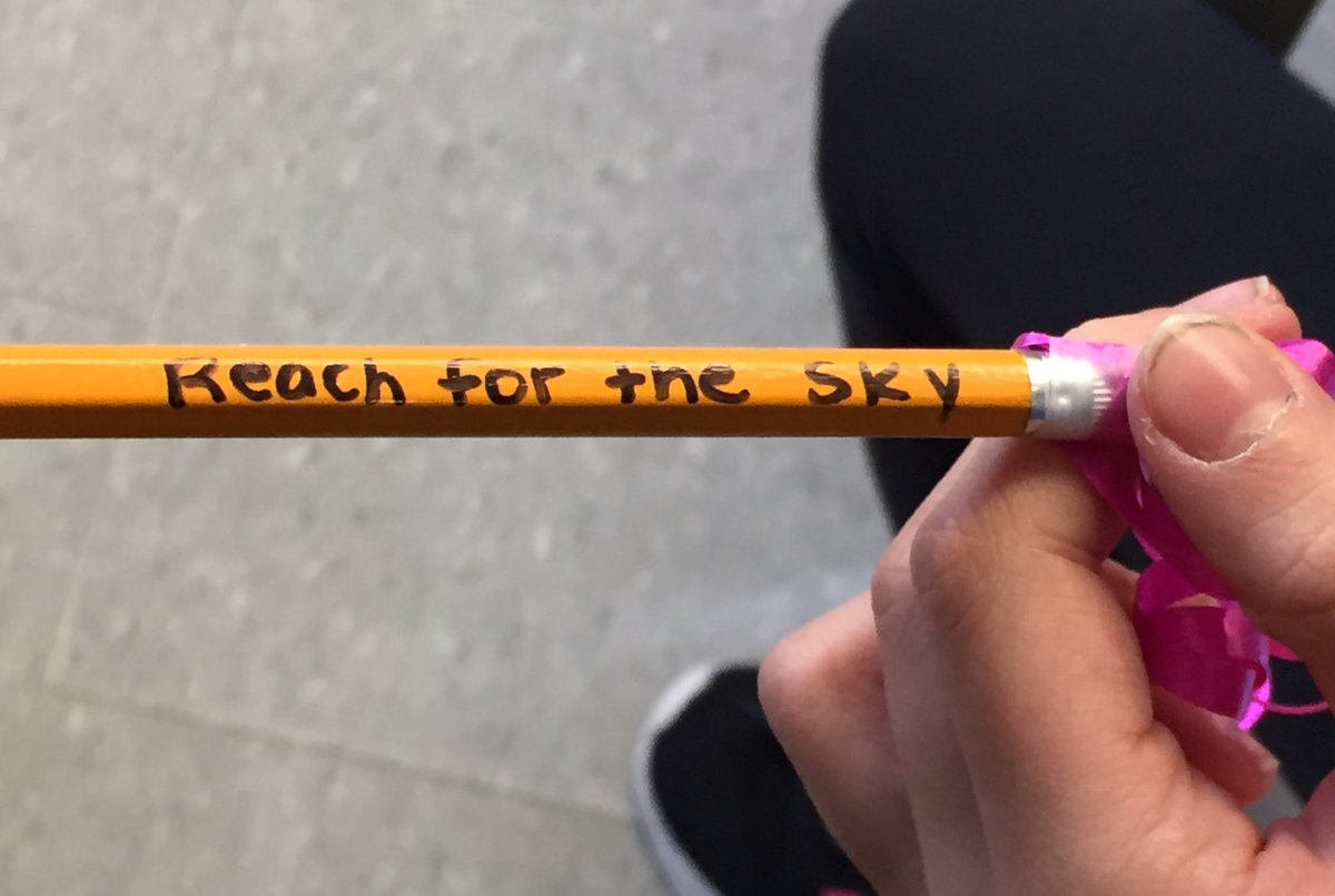 Welcome Back messages <a href="/WorsleyES/">Worsley E.S.</a> . Mrs. Liotta’s grade 3 students returned to new pencils, each with a personalized growth mindset message.
