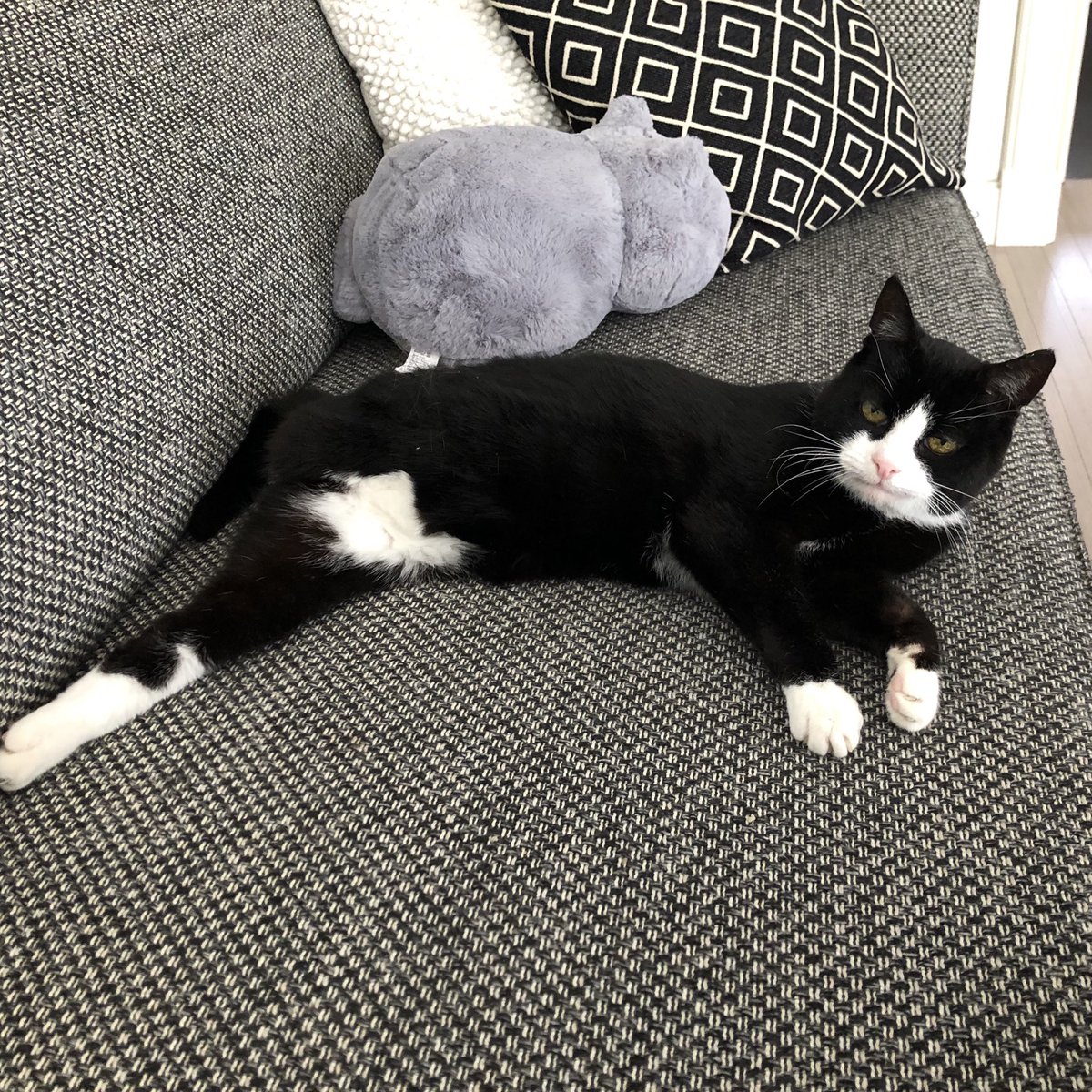 Matijn Nijhuis tweet media