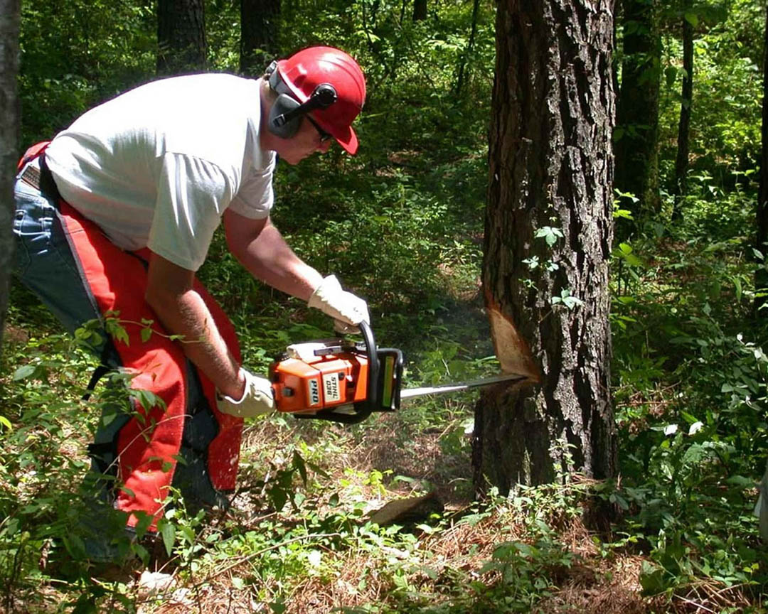 MarsamTree's tweet image. Make sure you #stayconcurrent with our #changes by #following us across all our #socialmedia found in the #links on our #website. Give Us A Call at # (828) 266-0397 today! #EmergencyTreeRemoval #TreeCutting #TreePruning #TreeTrimming #Arden28704 bit.ly/2TTTHOS