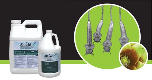 CentralMosquito's tweet photo. Providing exceptional control, #Altosid Liquid Larvicide prevents the emergence of adult #mosquitoes, including those which may transmit vector-borne diseases like #WestNile virus, #Zika virus, #Chikungunya, and #dengue. https://t.co/z2yuIRssuJ #CentralMosquitoControl https://t.co/sF0QBHIWUM