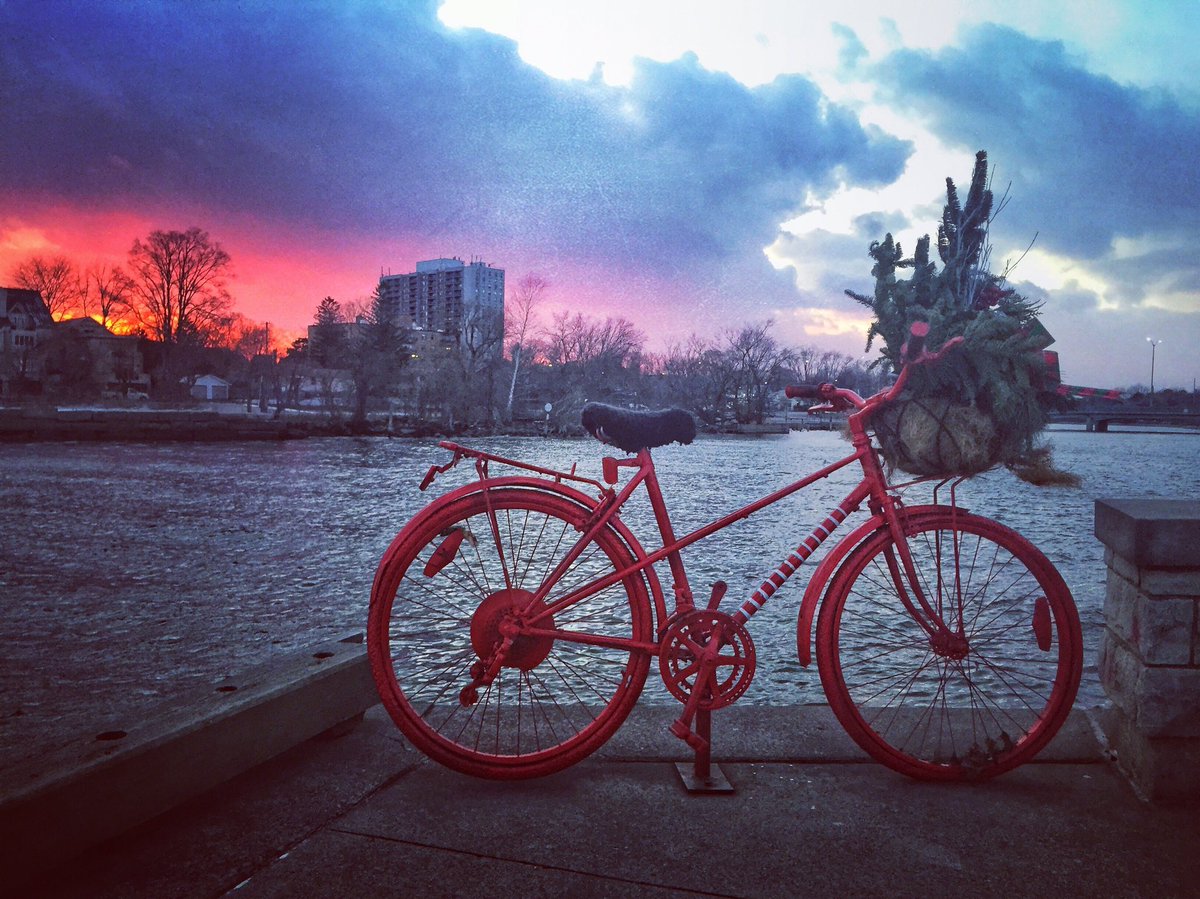 Heather Doyle tweet media