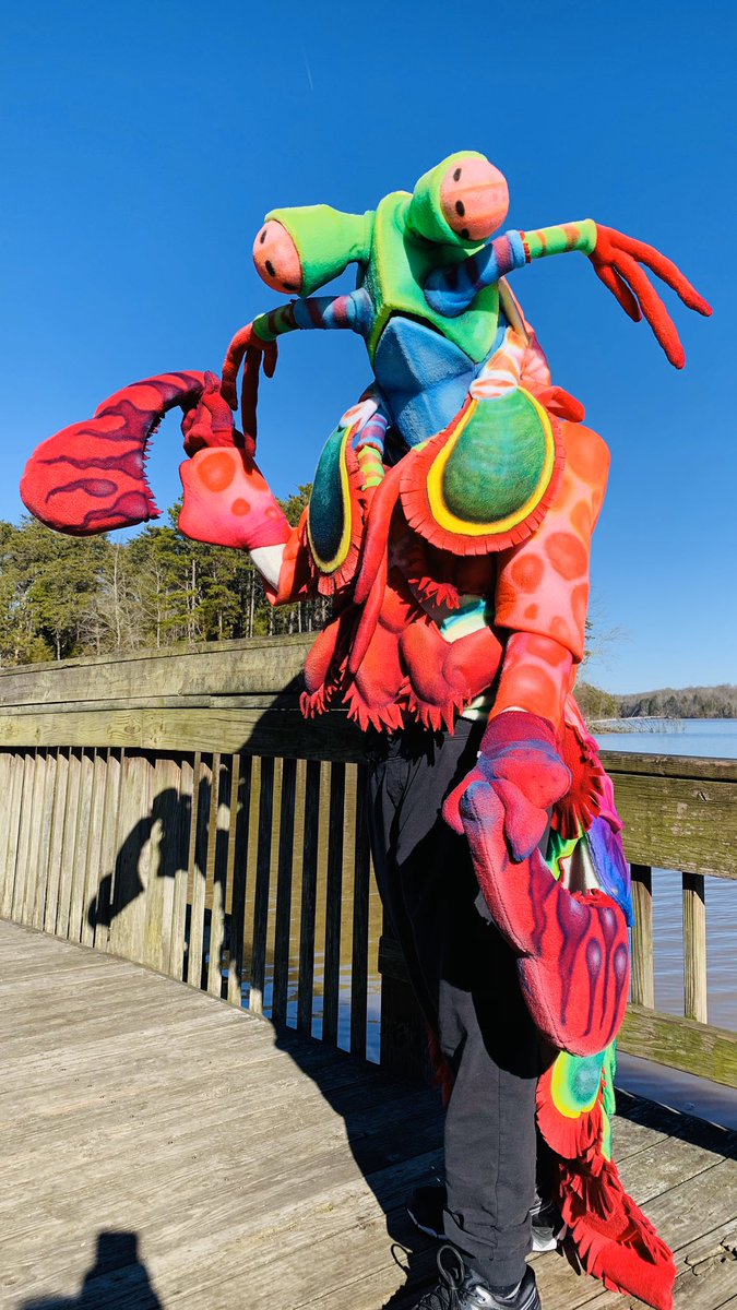 CityMuttFursuit's tweet photo. Here it is! #FantasticTheShrimp is complete and ready to take revenge for all shrimp-kind! https://t.co/GUmYBZhB06