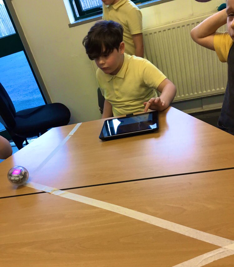 Year Two Phoenix Primary tweet media