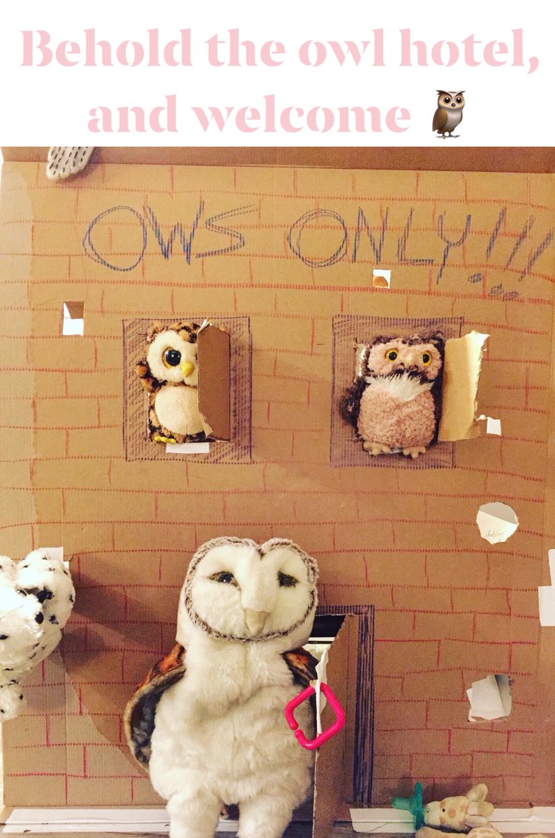 TheSilentLeague's tweet image. Raising renegades is no easy task but we persevere and are rewarded with inspiration. Playtime is important for all, musicians especially. Behold the owl hotel, and welcome 🦉