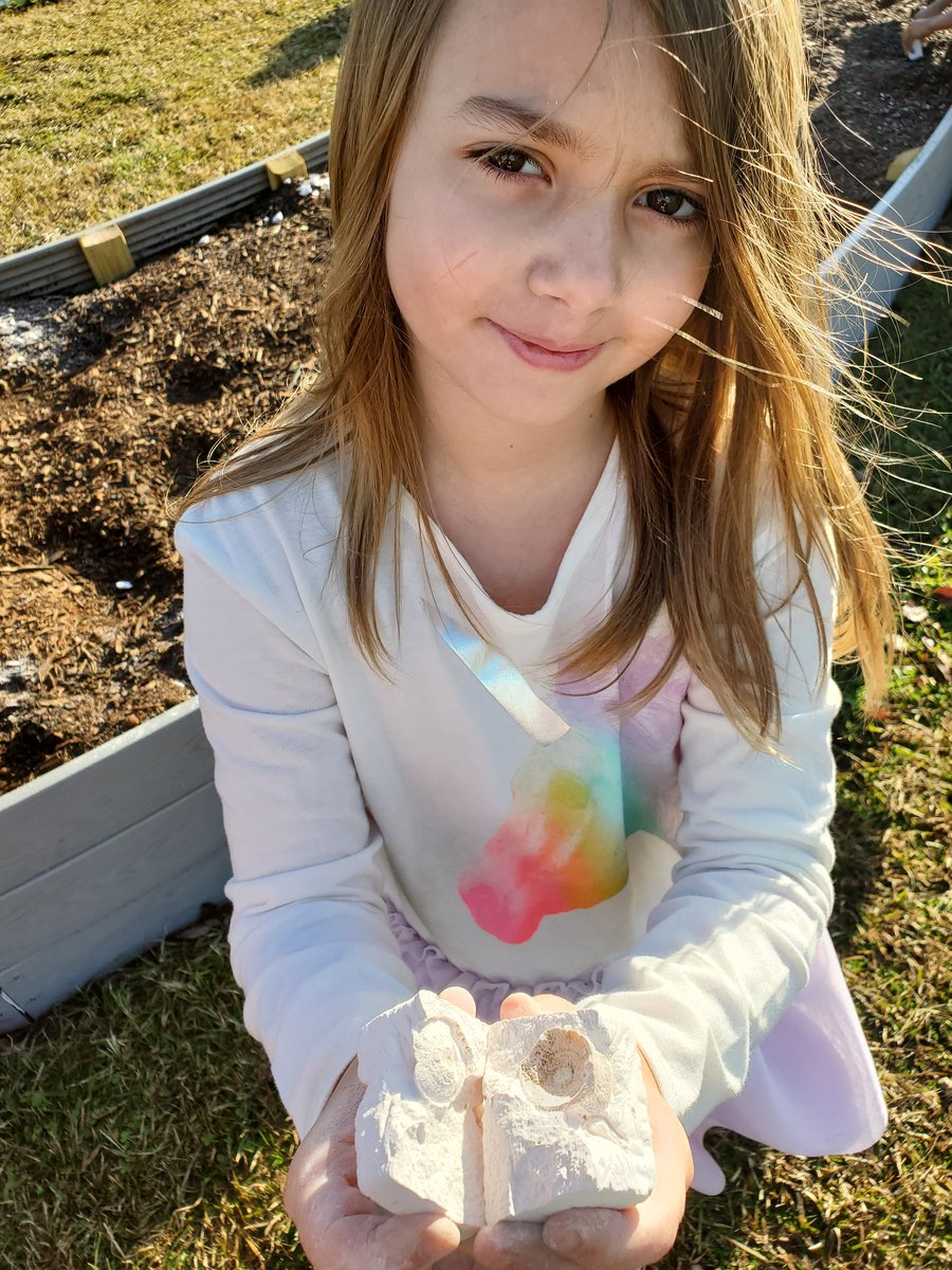 BurchBears3rd's tweet photo. We dug into things the first day back and discovered quite a few treasures!  What is your best tip for remembering a mold from a cast fossil? Reply with your tip @rjburches https://t.co/OLFyBdEeSy