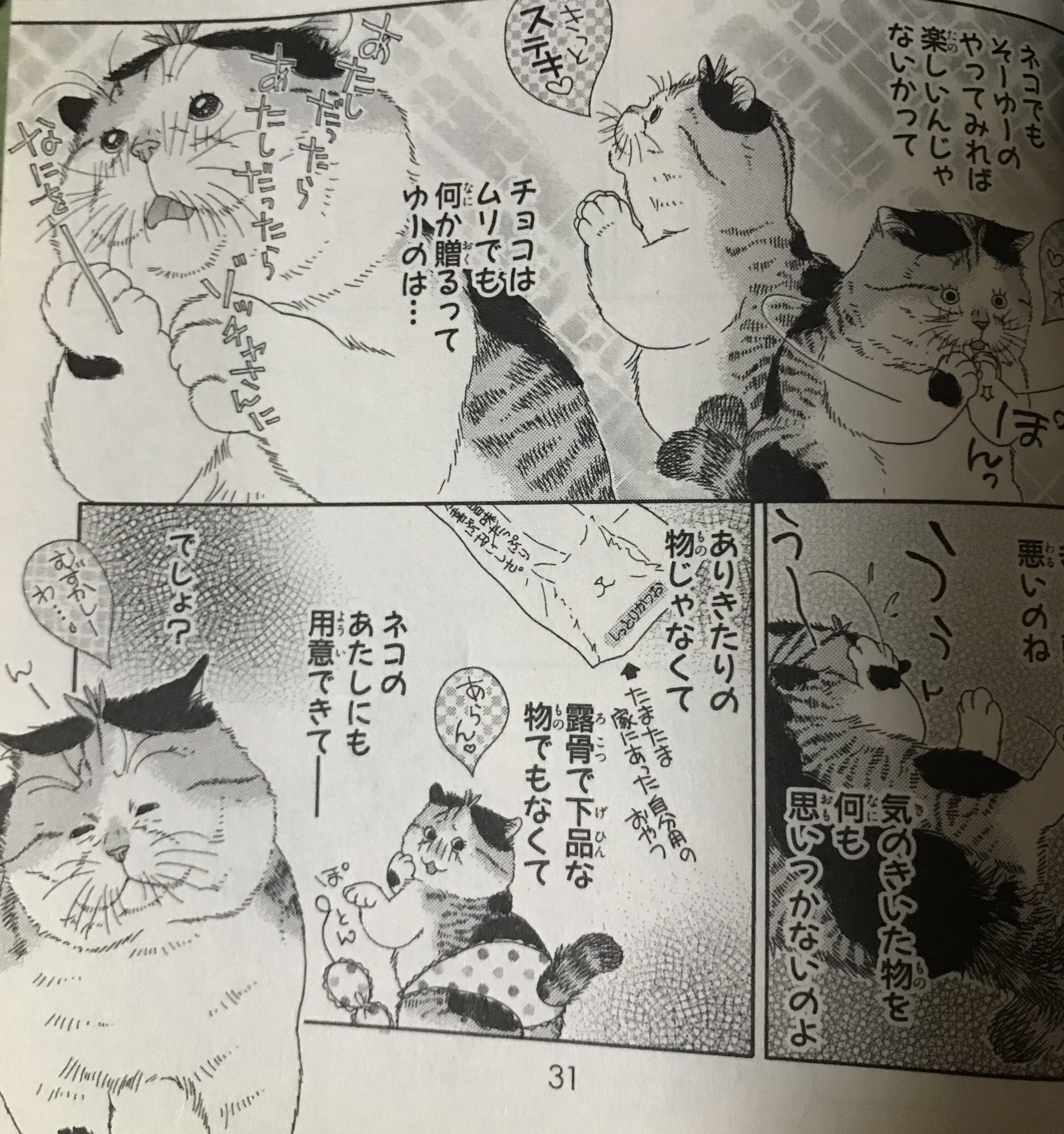 生藤由美 猫漫画 ボードレールの猫 フォロワーさんがあげてくださった ゾッチャの日常 です 左側は扉絵で 実はかなりお気に入りの絵なのです デジタル配信中なので よろしくお願い致します Twitter
