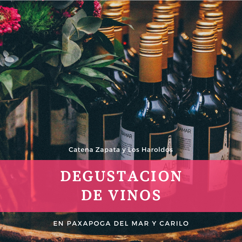 Degustaciones Enero
​Catena Zapata 
Martes en Paxapoga del Mar 
Jueves y Sábado en Paxapoga Carilo
​
​Bodega los Haroldos
Jueves en Paxapoga del Mar
​Viernes en Paxapoga Carilo