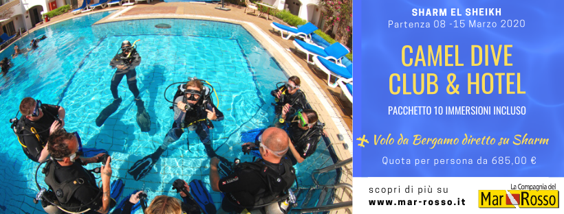 CompMarRosso's tweet photo. CAMEL DIVE CLUB &amp; HOTEL 🇪🇬
Il Camel Dive Club è un centro PADI 5*, che offre corsi che vanno dal PADI Open Water fino ai corsi di immersioni tecniche (TDI).

📍 PRENOTA SUBITO
https://t.co/1qhztCoXLm

#Egitto #Marrosso #diving https://t.co/0fyPMkrDIt