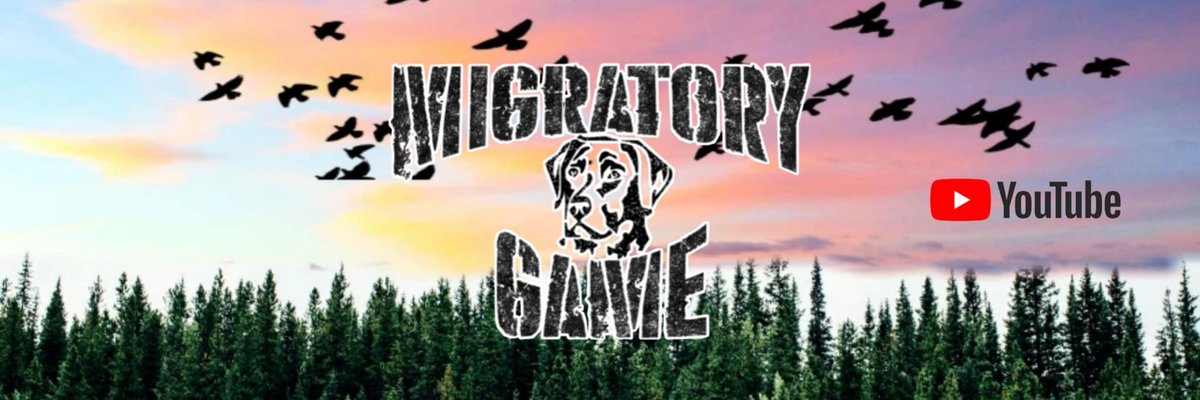 migratory_game's tweet photo. New header! It looks awesome thanks ryon. @ryonnater https://t.co/n4CLjHmLpn